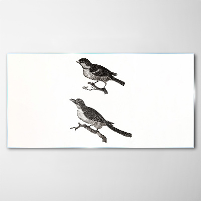 Glasbild Vögel auf einem Ast