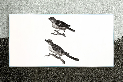 Glasbild Vögel auf einem Ast