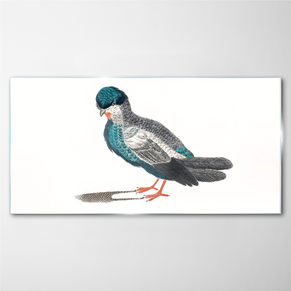Glasbild Bunter Vogel auf weißem Hintergrund