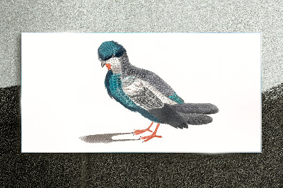 Glasbild Bunter Vogel auf weißem Hintergrund