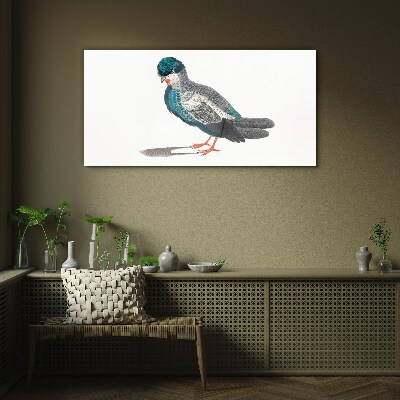 Glasbild Bunter Vogel auf weißem Hintergrund