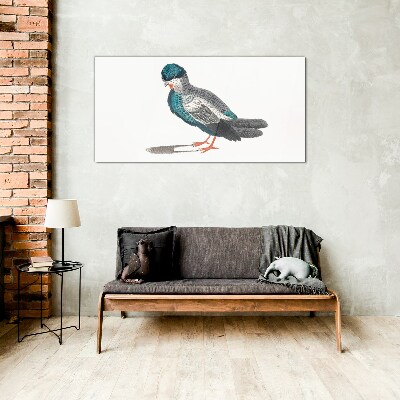 Glasbild Bunter Vogel auf weißem Hintergrund
