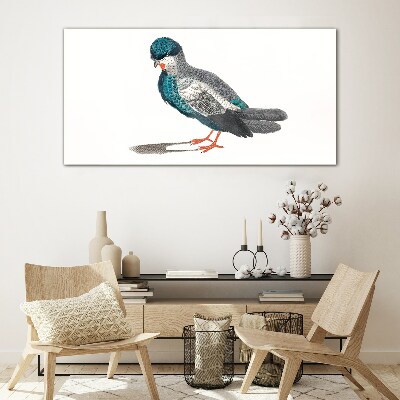 Glasbild Bunter Vogel auf weißem Hintergrund
