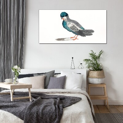 Glasbild Bunter Vogel auf weißem Hintergrund