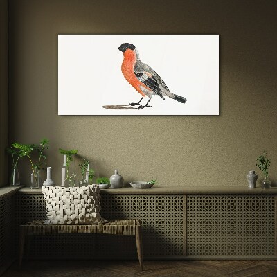 Glasbild Robin vor einem weißen Hintergrund