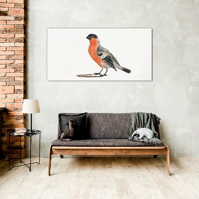 Glasbild Robin vor einem weißen Hintergrund