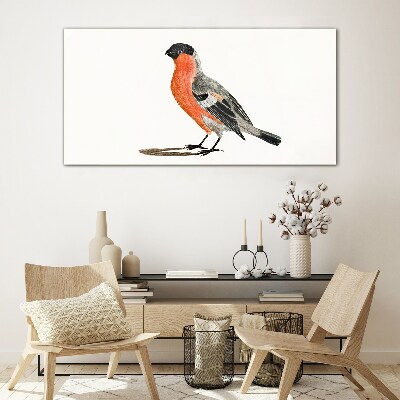 Glasbild Robin vor einem weißen Hintergrund