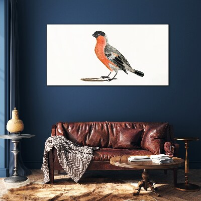 Glasbild Robin vor einem weißen Hintergrund