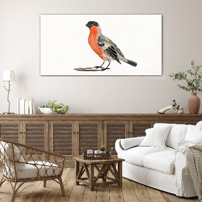 Glasbild Robin vor einem weißen Hintergrund