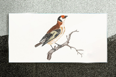 Foto auf glas Vogel auf einem Ast