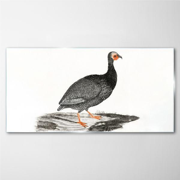 Glasbild Schwarzer Vogel auf weißem Hintergrund
