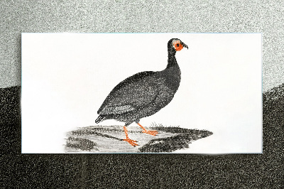 Glasbild Schwarzer Vogel auf weißem Hintergrund
