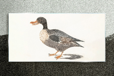 Glasbild Ente im naturalistischen Stil
