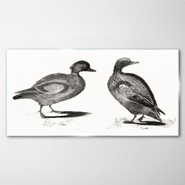 Glasbild Zwei Enten im monochromen Stil