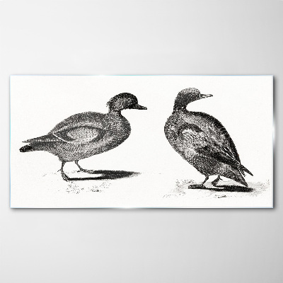 Glasbild Zwei Enten im monochromen Stil
