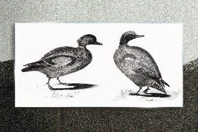 Glasbild Zwei Enten im monochromen Stil