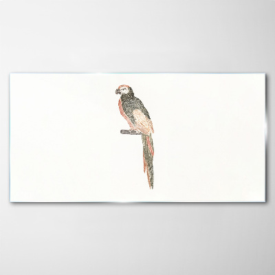 Foto glasbild Vogel auf einem Ast
