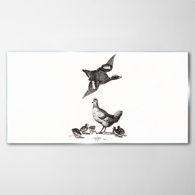 Glasbild Die Vogelwelt in Schwarz-Weiß