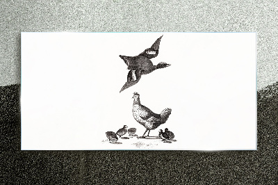 Glasbild Die Vogelwelt in Schwarz-Weiß