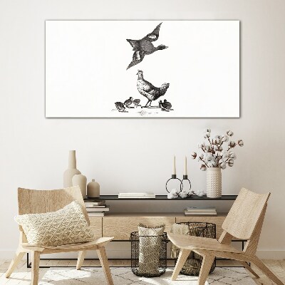 Glasbild Die Vogelwelt in Schwarz-Weiß