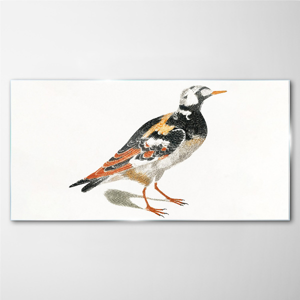 Glasbild Vogel auf weißem Hintergrund