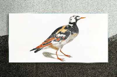 Glasbild Vogel auf weißem Hintergrund