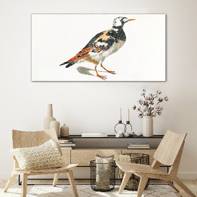 Glasbild Vogel auf weißem Hintergrund