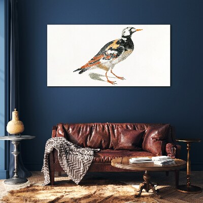 Glasbild Vogel auf weißem Hintergrund