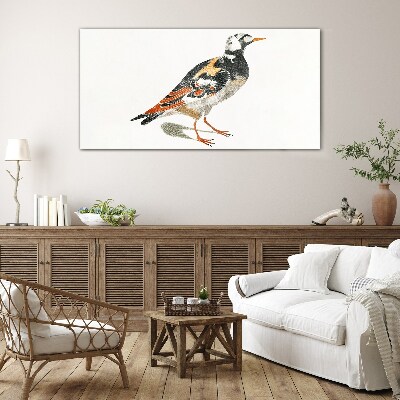 Glasbild Vogel auf weißem Hintergrund
