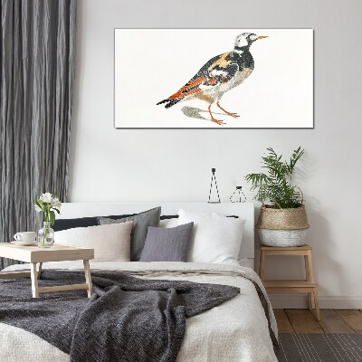 Glasbild Tier-Vogel-Zeichnung