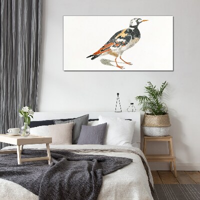 Glasbild Vogel auf weißem Hintergrund