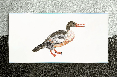 Glasbild Ente auf weißem Leinwandhintergrund