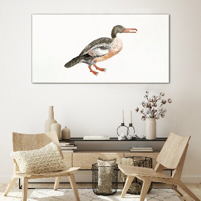 Glasbild Ente auf weißem Leinwandhintergrund