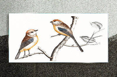 Bild auf glas Vögel auf einem Ast