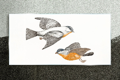 Glasbild Vögel im Flug