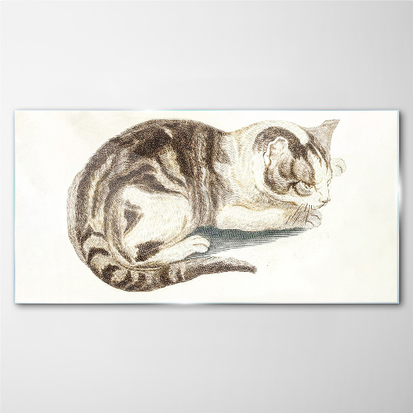 Glasbild Schläfrige Katze auf weißem Hintergrund