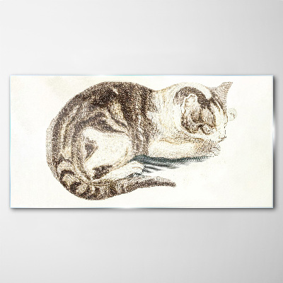 Glasbild Schläfrige Katze auf weißem Hintergrund