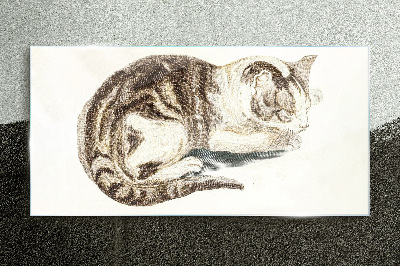 Glasbild Schläfrige Katze auf weißem Hintergrund
