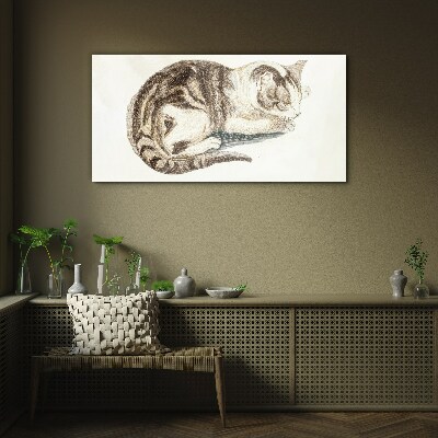 Glasbild Schläfrige Katze auf weißem Hintergrund
