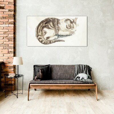Glasbild Schläfrige Katze auf weißem Hintergrund
