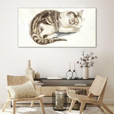 Glasbild Schläfrige Katze auf weißem Hintergrund