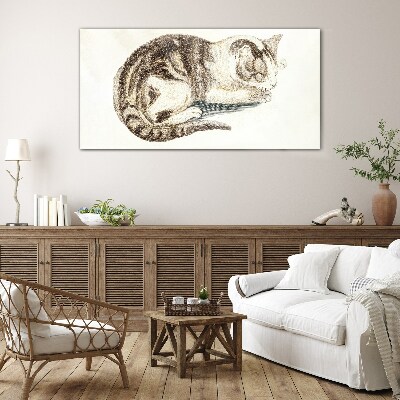 Glasbild Schläfrige Katze auf weißem Hintergrund