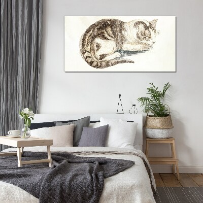 Glasbild Schläfrige Katze auf weißem Hintergrund