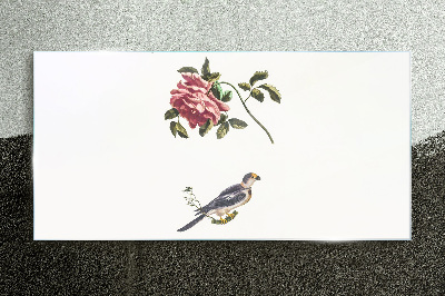 Glasbild Rose und Vogel auf weißem Hintergrund