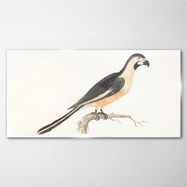 Glasbild Vogel auf einem Ast