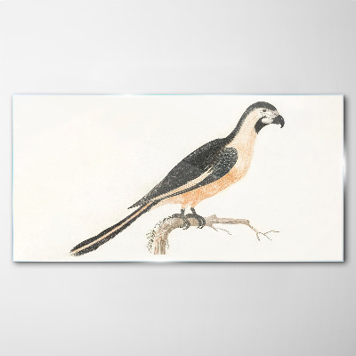 Glasbild Vogel auf einem Ast