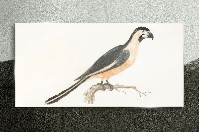 Glasbild Vogel auf einem Ast