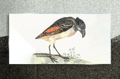 Glasbild Ein Vogel vor einem natürlichen Hintergrund