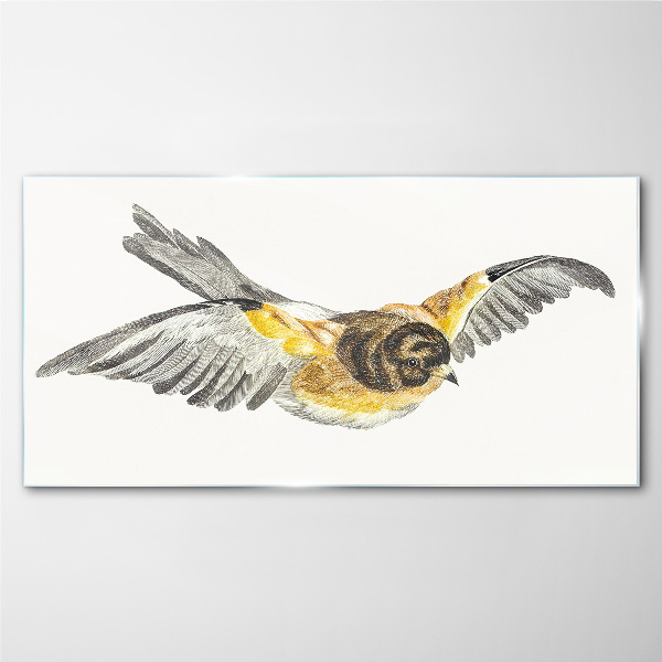 Glasbild Der majestätische Flug eines Vogels
