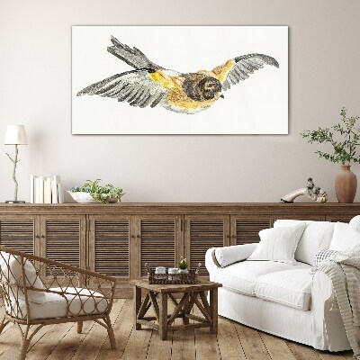Glasbild Der majestätische Flug eines Vogels